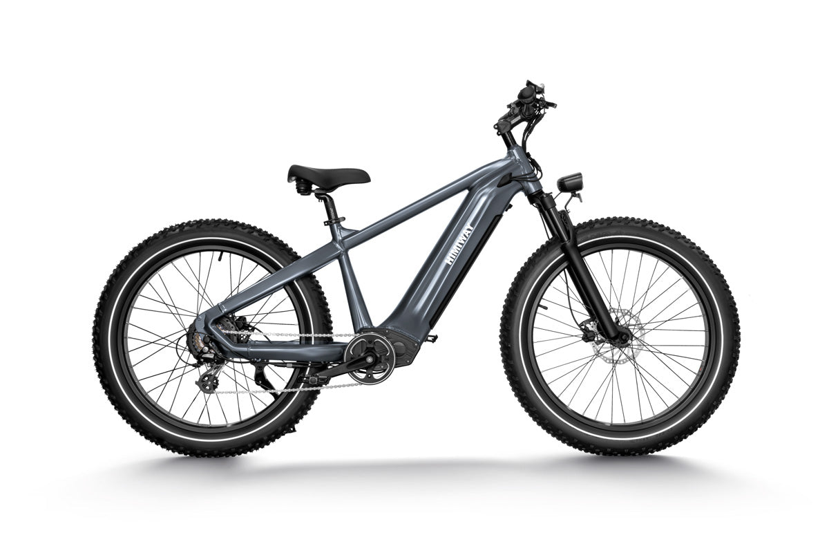 Himiway Zebra 750 Watt Mountain Ebike Electric Bike Grey